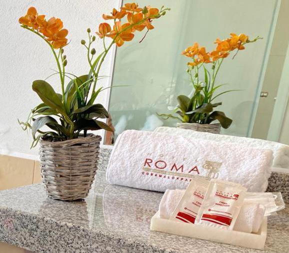 Hotel Roma Cosamaloapan de Carpio Eksteriør bilde